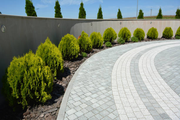 Reasons to Select Us for Your Driveway Paving Requirements in Capron, IL